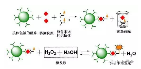 【新利体育(中国)有限公司-官网机械】化学发光免疫分析技术-引领体外诊断行业