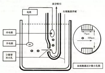 【新利体育(中国)有限公司-官网机械】血液分析仪的检测原理及临床应用